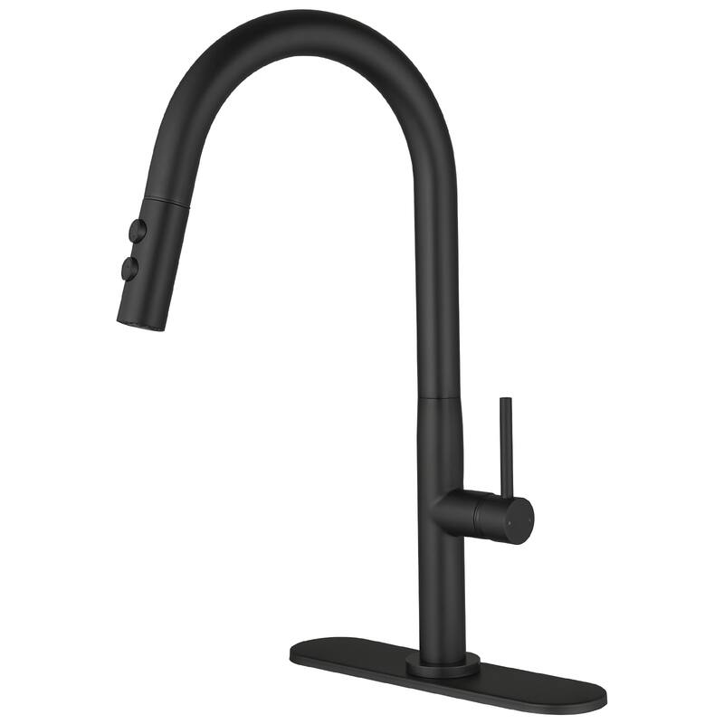 WIZ Single Handle Pull Down Sprayer Kitchen Faucet - Black