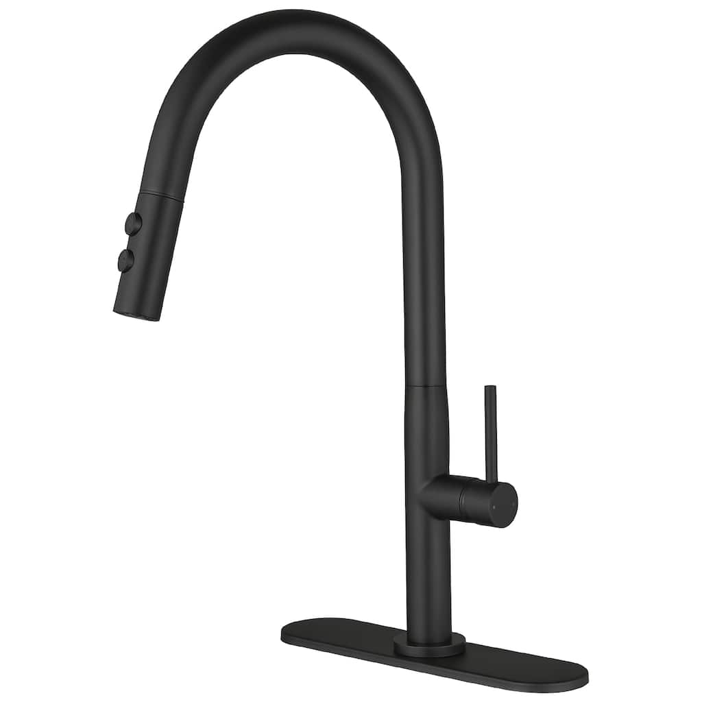 WIZ Single Handle Pull Down Sprayer Kitchen Faucet