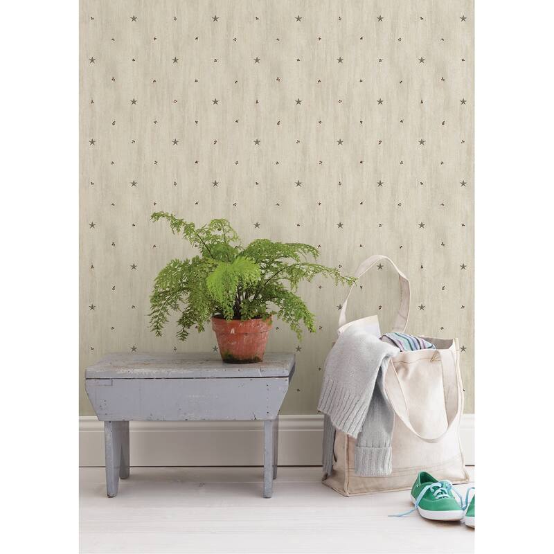 Chesapeake Bryndle Grey Barnstar & Sprigs Wallpaper - 20.5in x 396in x 0.025in
