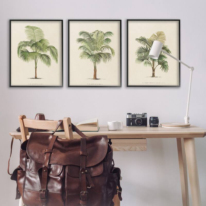 Stupell Les Palmiers Botanical Trio Framed Giclee Art Design by World Art Group (Set of 3)