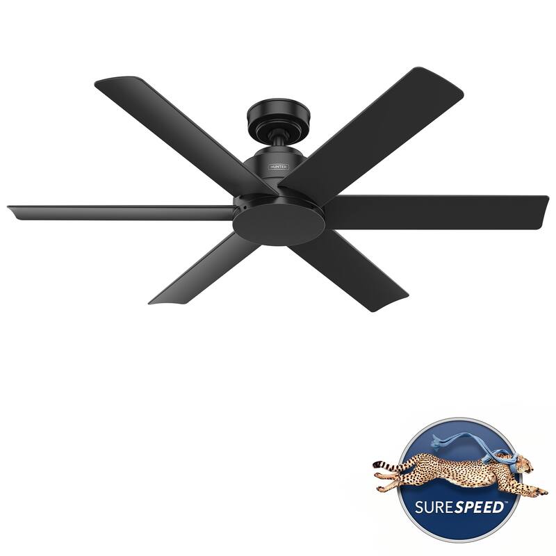 Hunter 52" Kennicott Outdoor Ceiling Fan, Wall Control - Contemporary, Industrial, Transitional - Windmill - Damp Rated!