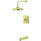 Option Polished Brass