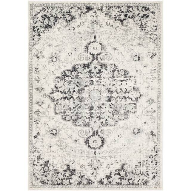 Caressa Vintage Boho Area Rug