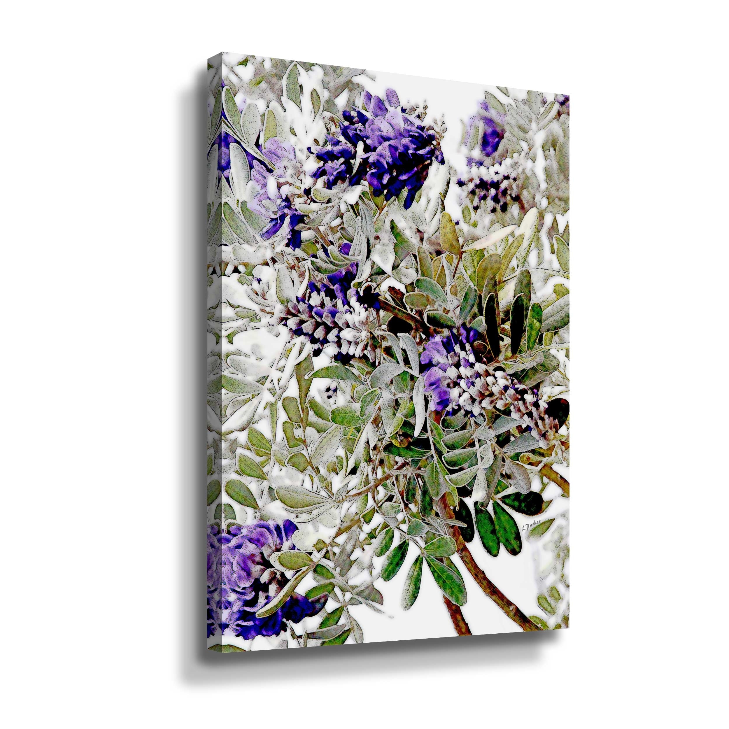 1st Blooms of Spring-1 Gallery Wrapped Canvas