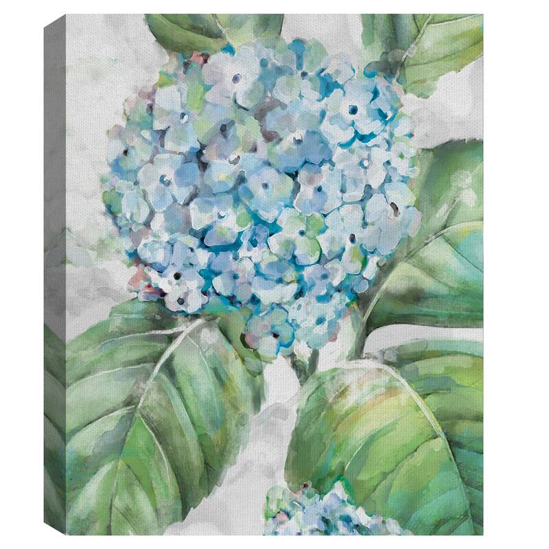 Hydrangea Portraits II by Studio Arts Canvas Art Print