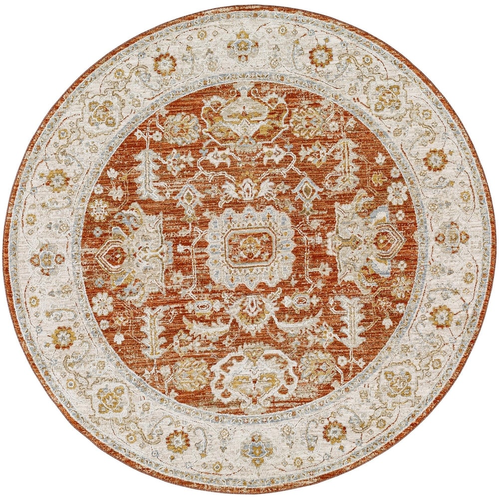 Anthony Traditional Area Rug