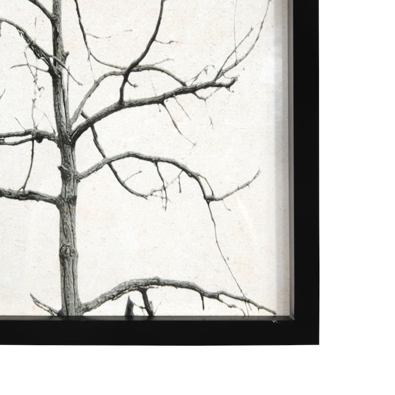 Wood Framed Branch Artwork, Black (Set of 3)