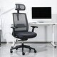 preview thumbnail 39 of 40, Ergonomic Mesh Executive Chair Home Office Chair with Lumbar Support, Headrest