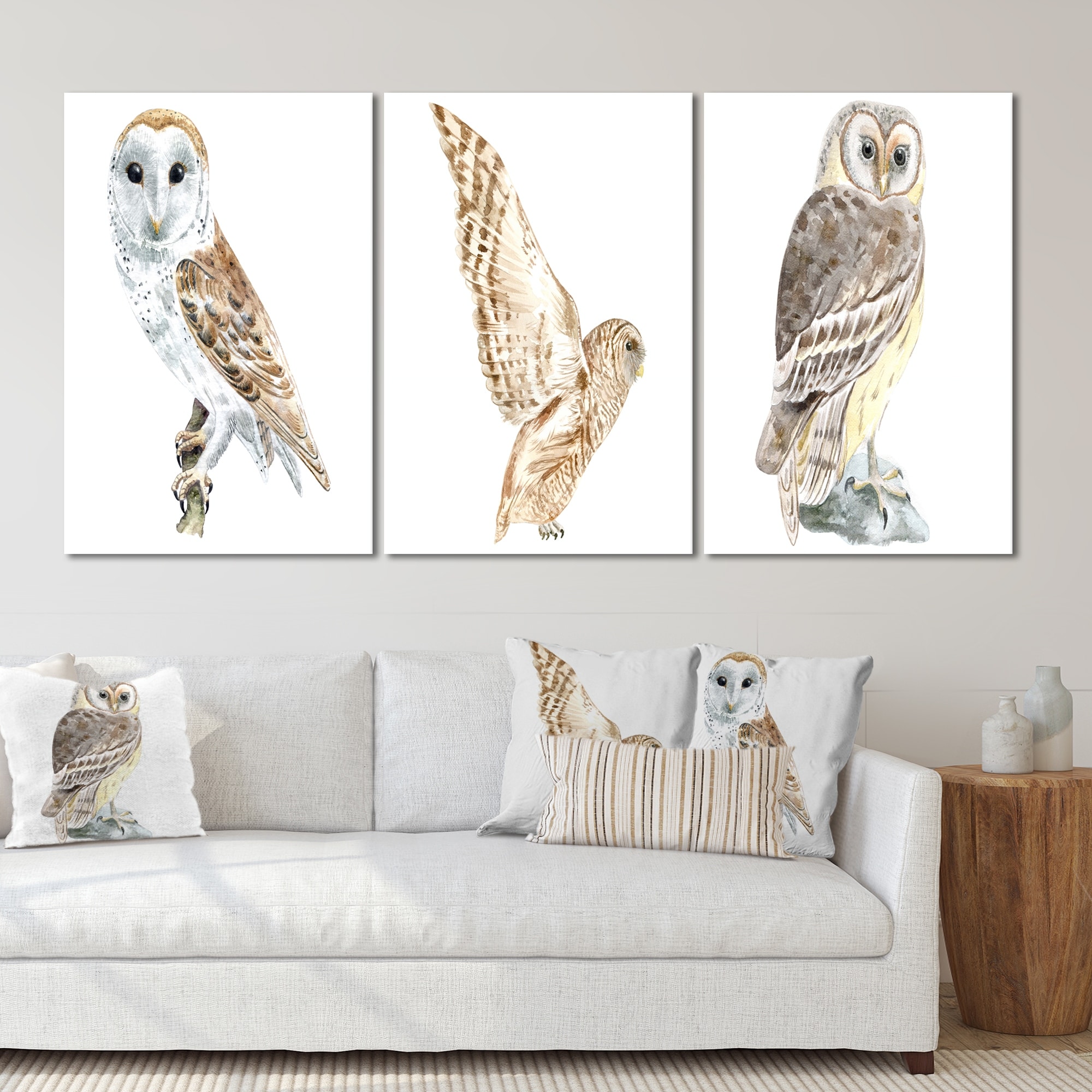 Designart Traditional Barn Owl II Art Set for Classic Home Decor-image