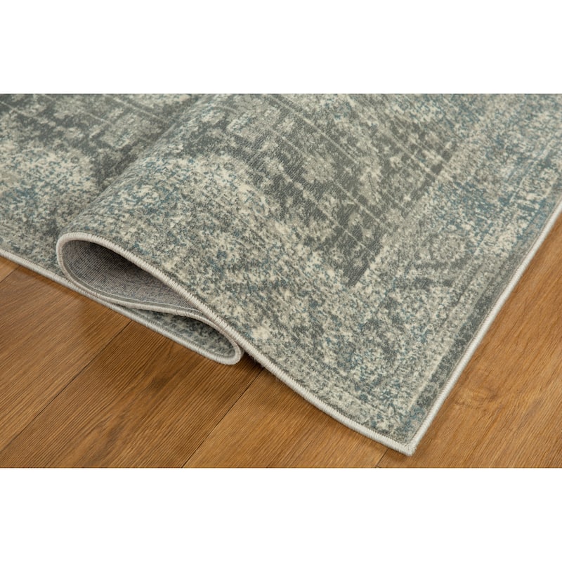 Anila Collection Light Blue, Beige and Silver Transitional Oriental Area Rug