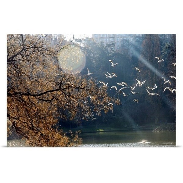 "Flight of birds at winter." Poster Print