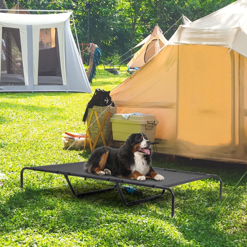 60 in. x 37 in. Iron Frame Gray Mesh Surface Outdoor Dog Cot - 60 in. x 37 in. x 9 in.