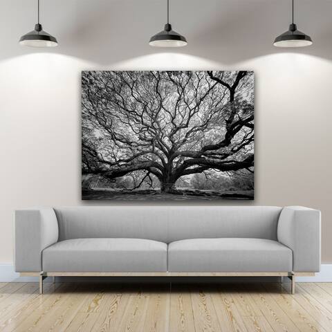 Tree of Wisdom Photography Aluminum Metal Wall Art