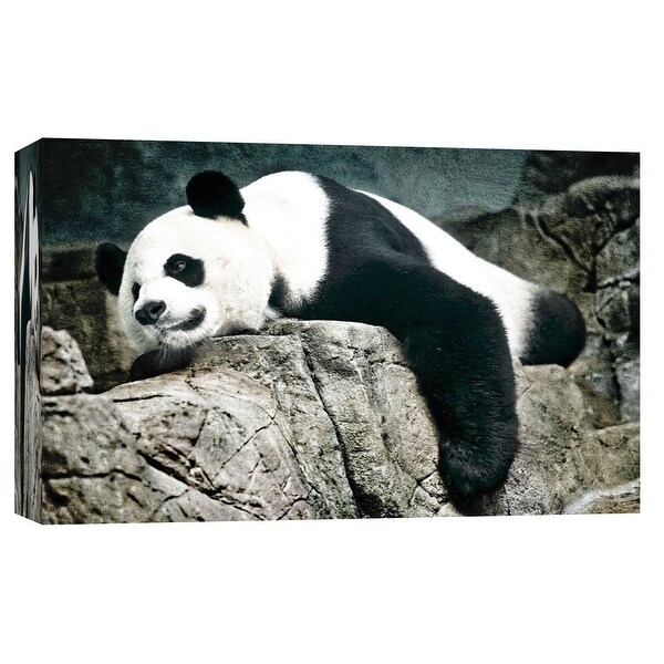 PTM Images 9-101714 PTM Canvas Collection 8" x 10" - "Panda" Giclee Pandas Art Print on Canvas