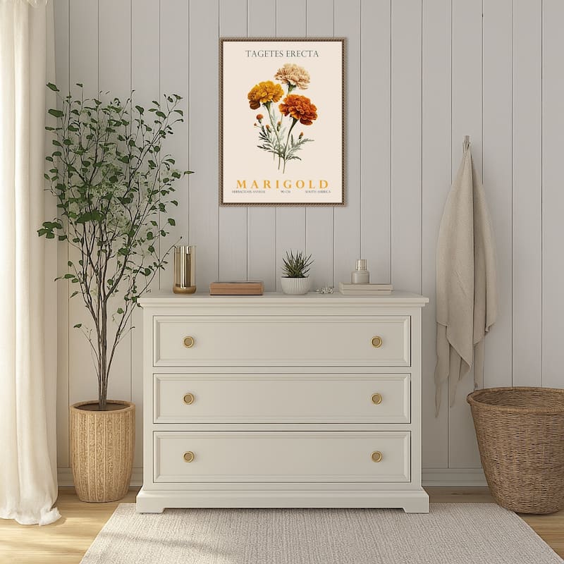 Vintage Botanical Marigold Illustration by Christopher Giampietro Framed Canvas Wall Art Print