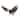 Regal Art & Gift 23.25 Inch Eagle Wall Decor