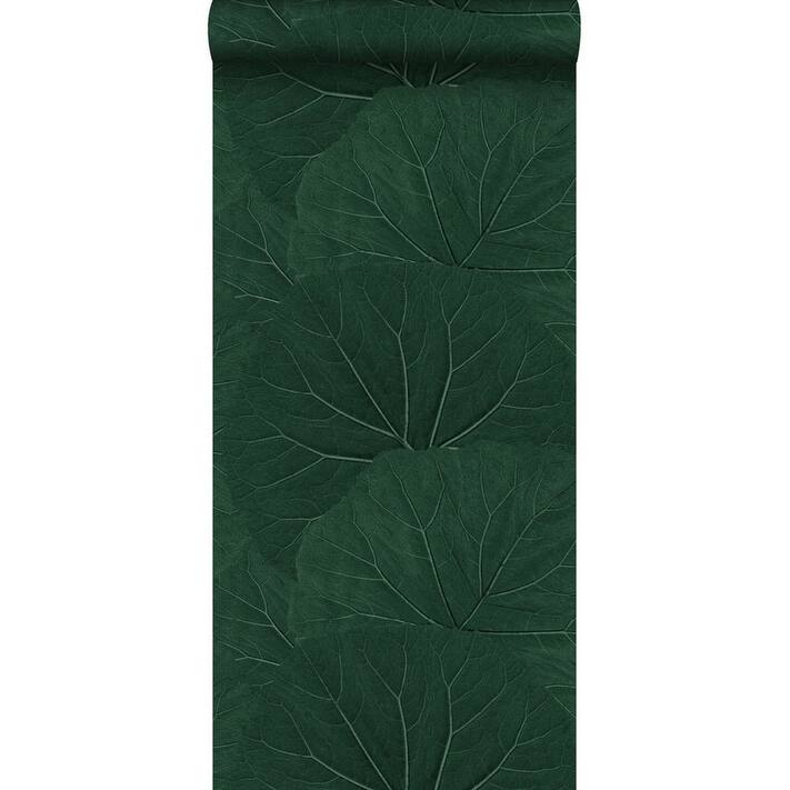 ESTA Home Xylem Evergreen Large Leaves Wallpaper