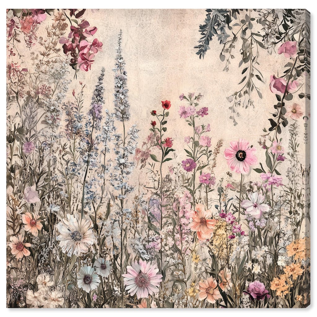 Chiffon Cosmos Canvas by Art Remedy, Gallery Wrapped