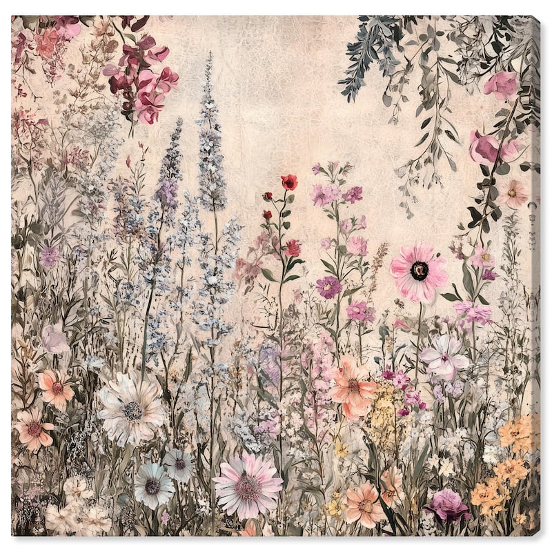 Chiffon Cosmos Canvas by Art Remedy, Gallery Wrapped - 16" x 16"