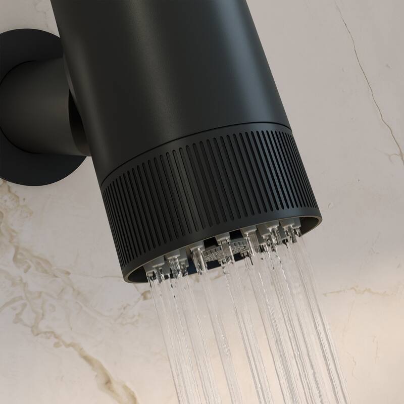 Lumiere 2-Spray Patterns 2.5 Gpm Wall Mount Fixed Shower Head In Matte Black