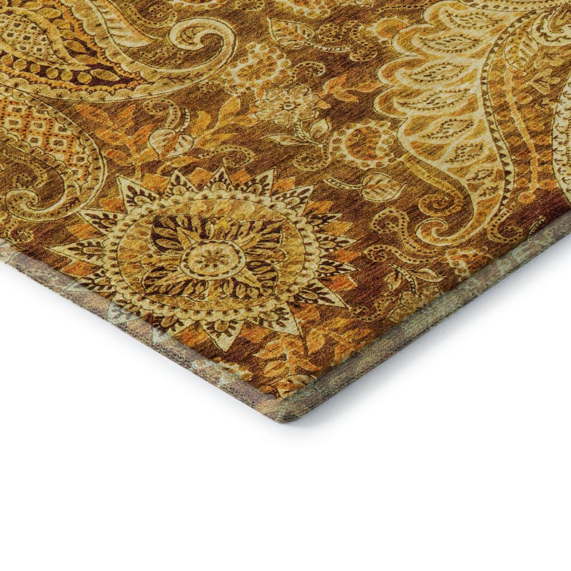 Premium Washable Super Soft Modern Paisley Mayfield Rug