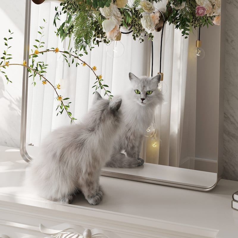 QuivaraView Rectangular Aluminum Framed Bathroom Vanity Mirror