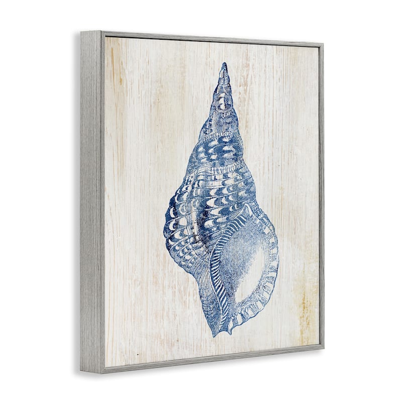 Stupell Tranquil Blue Shell Framed Giclee Art Design By Susan Arnot