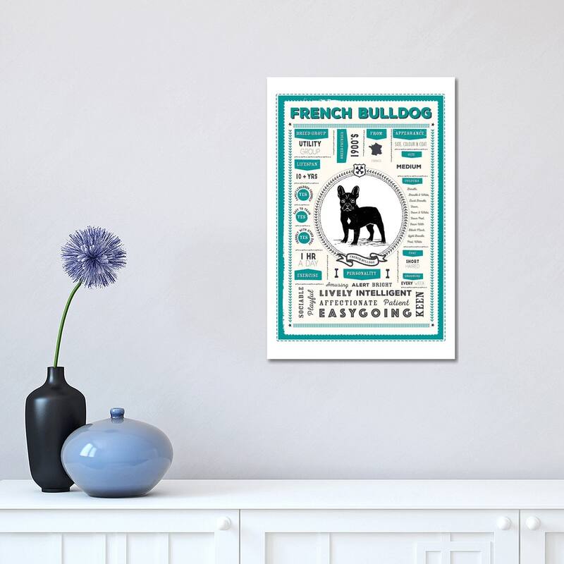 iCanvas "French Bulldog Infographic Blue" by PaperPaintPixels Canvas Print - 18x12x1.5