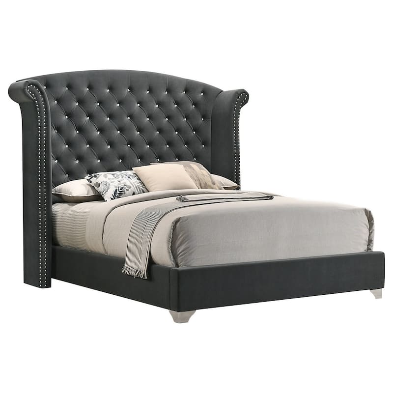 Giya Wingback Queen Bed, Tufted Headboard, Nailed Gray Velvet Upholstery - Gray, Nickel, Chrome - Queen