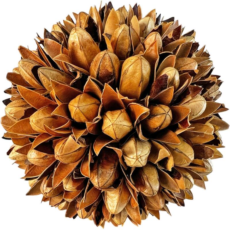 Handmade Preserved Topiary Balls – Set of 9 Decorative Floral Orbs - 4 inch