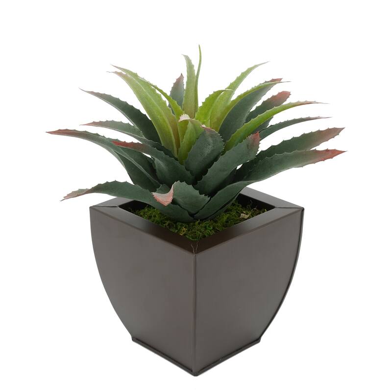 Faux Star Succulent in Tapered Zinc Planter - Matte Brown