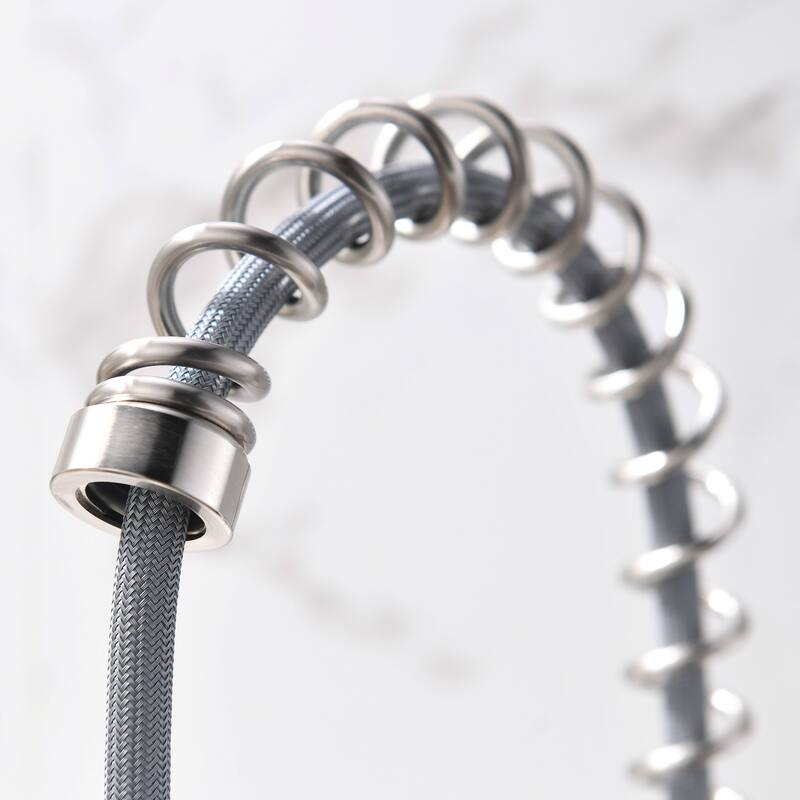 Kitchen Faucet with Pull Down