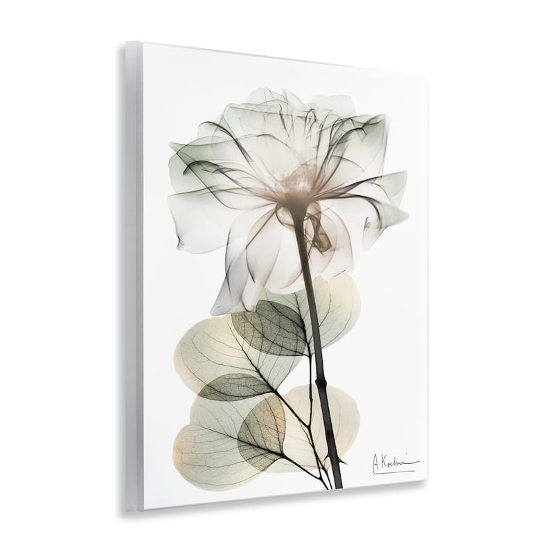 Stupell Modern Minimalist Buds Wall Plaque Art Design By Albert Koetsier