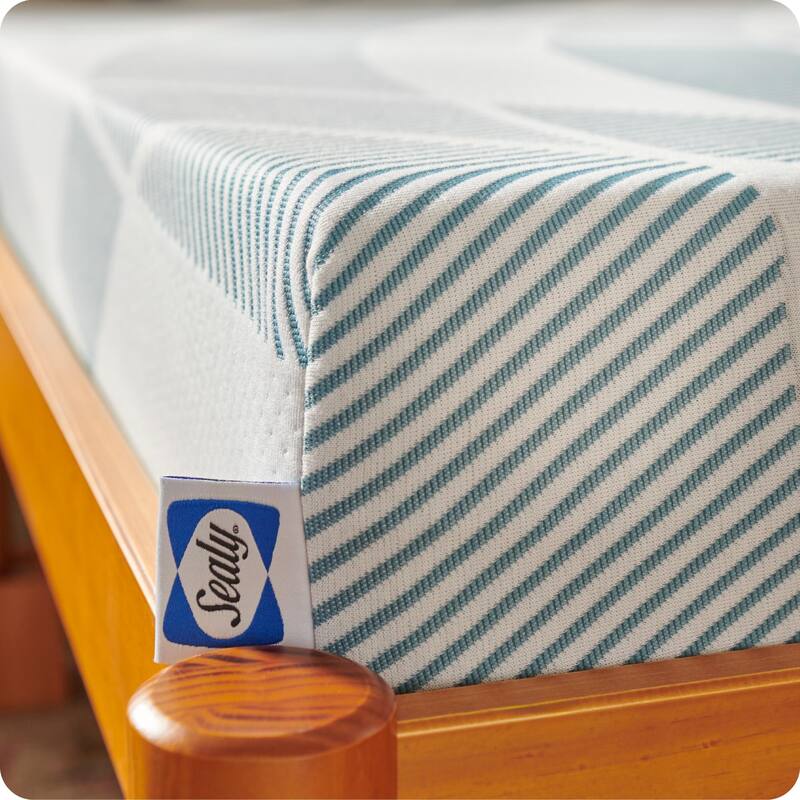 Sealy Dreamlife 8" Foam Mattress-in-a-Box