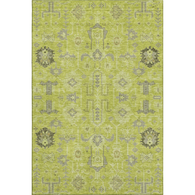 Premium Washable Super Soft Traditional Global Mayfield Rug
