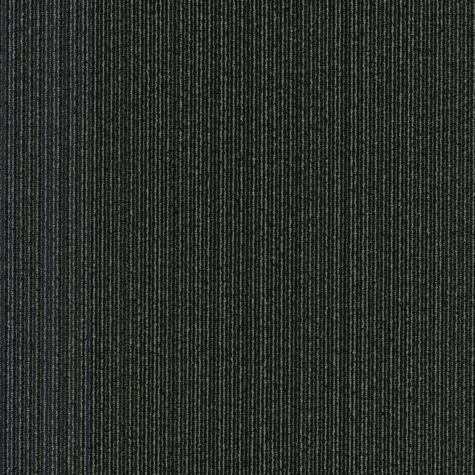 Shaw Philadelphia Commercial Practical 24" x 24" Glue Down Carpet Tile