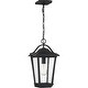 preview thumbnail 7 of 5, Darius 1-Light Outdoor Hanging Lantern in Earth Black