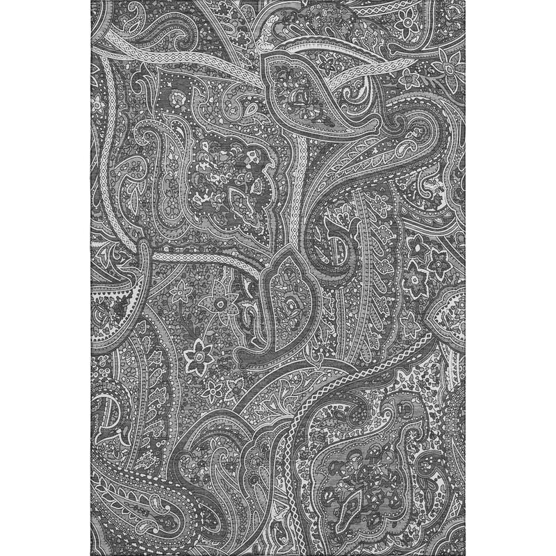 Premium Washable Super Soft Traditional Paisley Mayfield Rug