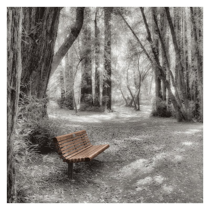 Old Mill Park by Alan Blaustein Canvas Art Print