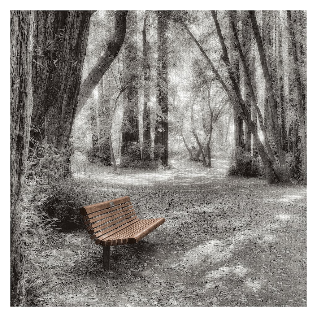Old Mill Park by Alan Blaustein Canvas Art Print