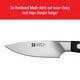 preview thumbnail 15 of 14, ZWILLING Pro Paring Knife