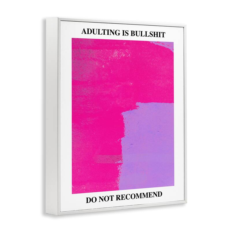 Stupell Adulting Do Not Recommend Framed Giclee Art Design By House of Lulu