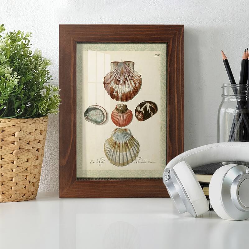 Bookplate Shells III -Framed Print w/glass-Cherry Red
