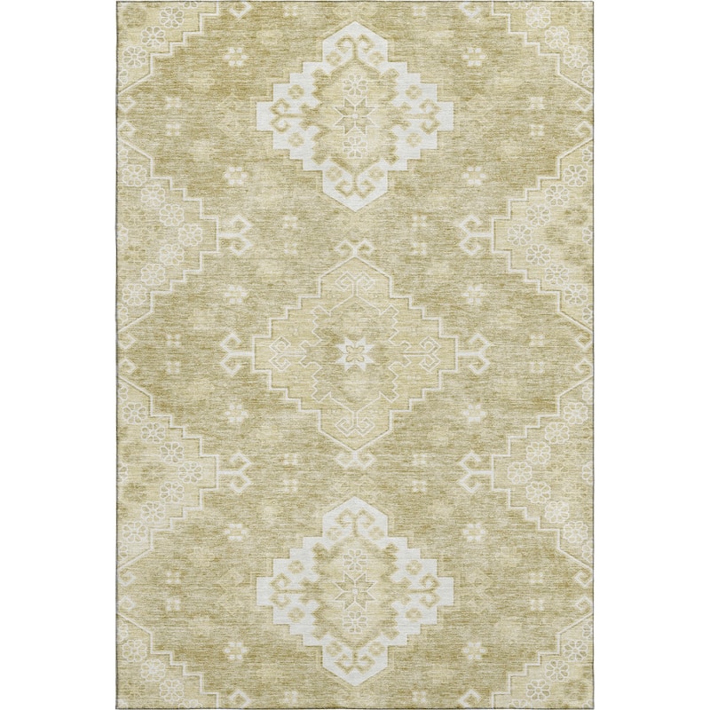 Premium Washable Super Soft Boho Global Mayfield Rug