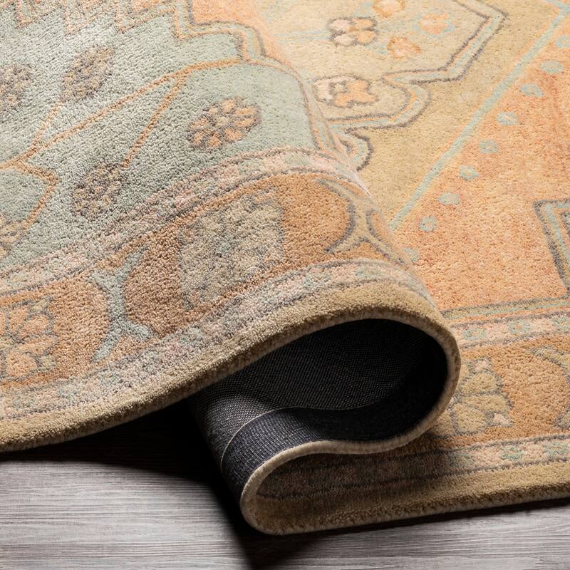 Artistic Weavers Delfina Handmade Traditional Area Rug