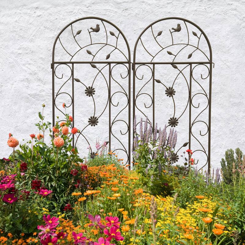 Metal Garden Trellis