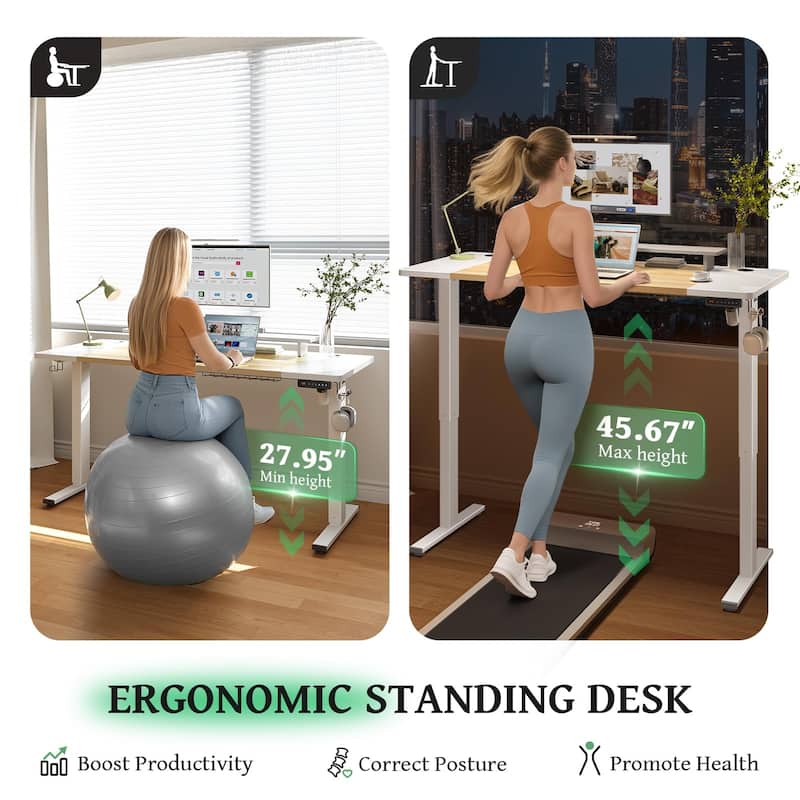 SIAGO 48 x 24 Inch Computer Desk Height Adjustable Electric Sit Stand Up Desk