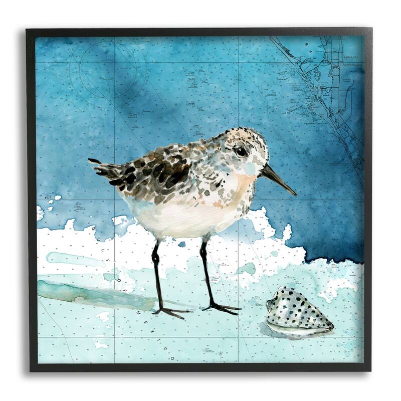 Stupell Sandpiper Bird and Shell Nautical Ocean Map Framed Wall Art - Blue - 24 x 24 - Black