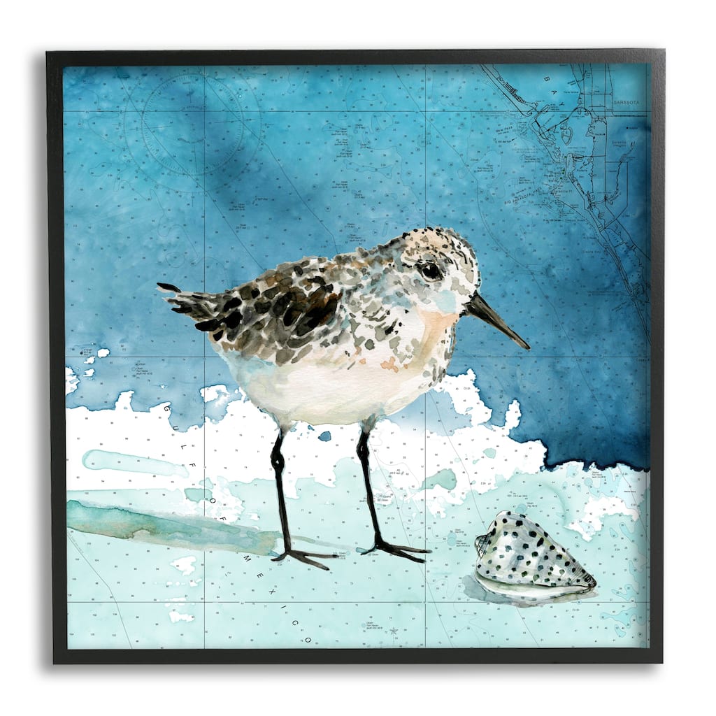 Stupell Sandpiper Bird and Shell Nautical Ocean Map Framed Wall Art - Blue