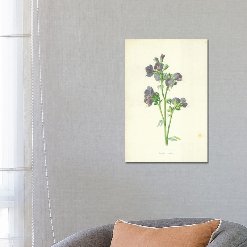 iCanvas "Jacob's Ladder (Illustration From Familiar Garden Flowers, 4th Series)" by Frederick Edward Hulme Canvas Print - 26x18x1.5